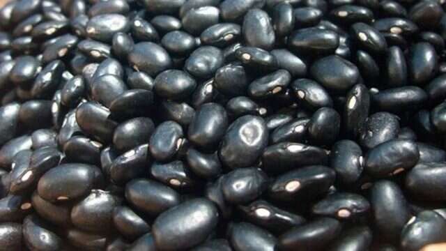 Brasil y México acuerdan venderse arroz y frijol