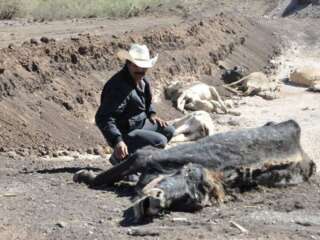 Solicitan declaratoria de emergencia en la Huasteca