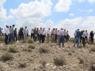 Afecta sequía a 75% de siembra en Pinos