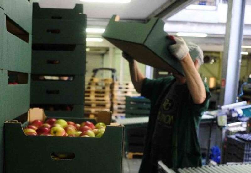 Aumentan trabajadores con precariedad laboral en México