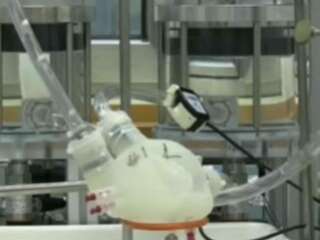 Inventa estudiante mexicana sistema para detectar fallas en el corazón