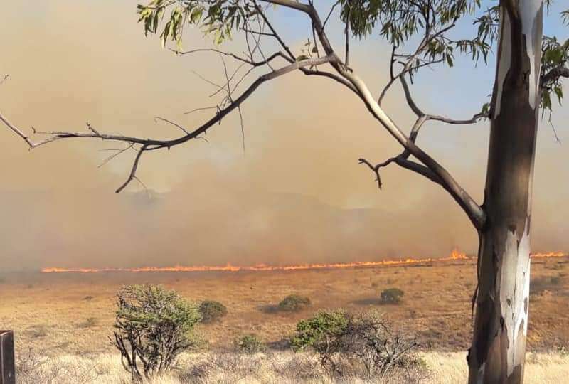 CONTINUAN LABORES PARA APAGAR INCENDIO EN VILLANUEVA