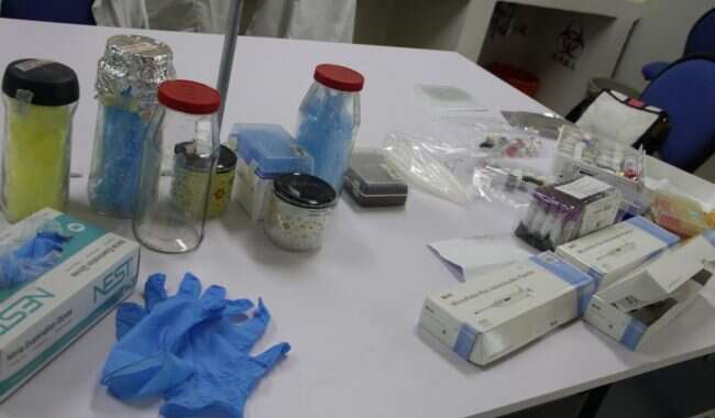 BUSCAN INVESTIGADORAS DE LA UAZ, INMUNIDAD COLECTIVA A COVID-19