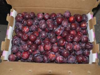 DISTRIBUIRÁN CEREZAS JEREZANAS SIN INTERMEDIARIOS