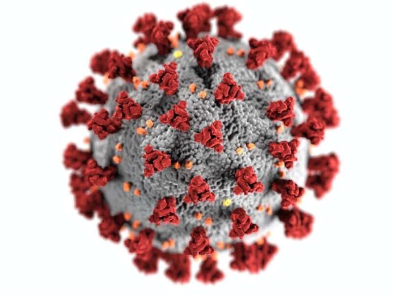 DESCUBRE CIENTÍFICA MEXICANA FORMA DE VULNERAR AL CORONAVIRUS