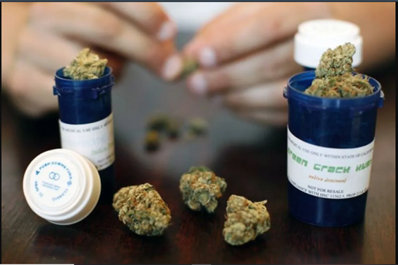 PUBLICAN REGLAMENTO PARA USO MEDICINAL DEL CANNABIS EN MÉXICO