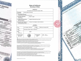 SIN APOSTILLAR, MÁS DE 7 MIL ACTAS DE NACIMIENTO EN ZACATECAS