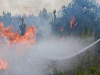90% DE INCENDIOS SON PROVOCADOS EN ZACATECAS
