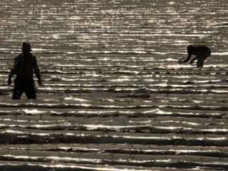 VACUNAN CONTRA COVID A JORNALEROS MEXICANOS EN ESTADOS UNIDOS