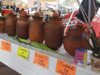 DESCUBREN CIENTÍFICOS MEXICANOS BACTERIA ANTICANCERÍGENA EN PULQUE