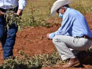 ZACATECAS, SÉPTIMO ESTADO MÁS AFECTADO POR LA SEQUÍA