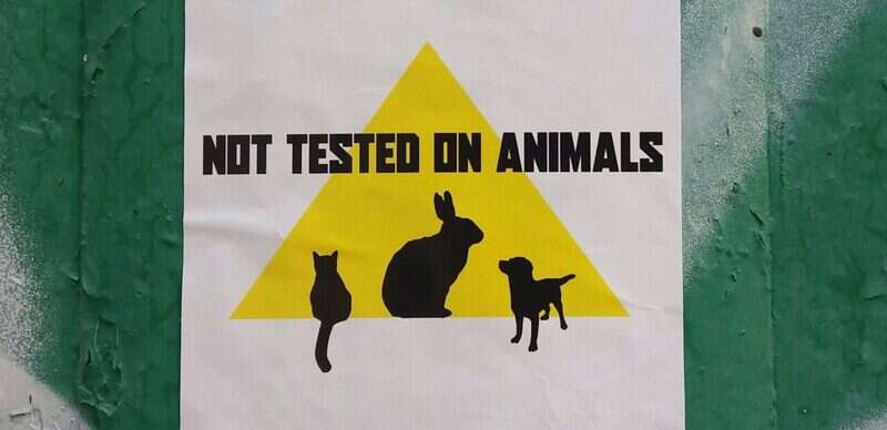 PROHIBIRÁN PRUEBAS CON ANIMALES EN COSMÉTICOS