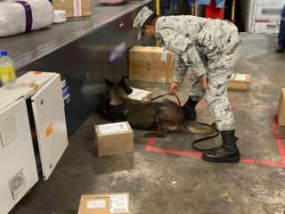 DECOMISAN MARIGUANA EN EMPRESAS DE MENSAJERÍA EN 6 ESTADOS, ENTRE ELLOS ZACATECAS