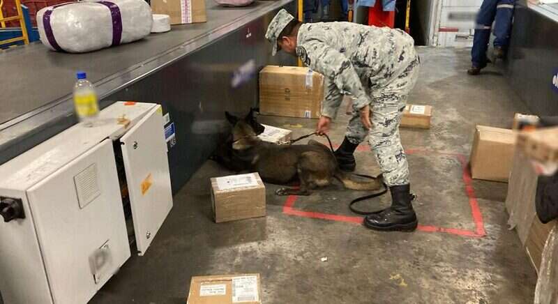 DECOMISAN MARIGUANA EN EMPRESAS DE MENSAJERÍA EN 6 ESTADOS, ENTRE ELLOS ZACATECAS