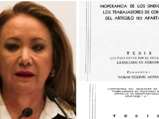 PROPONEN PRESCRIBIR PLAGIO DE TESIS A LOS 5 AÑOS