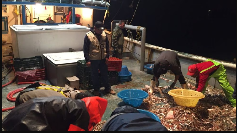 PROHIBEN A MÉXICO COMERCIAR CON ESPECIES VEGETALES