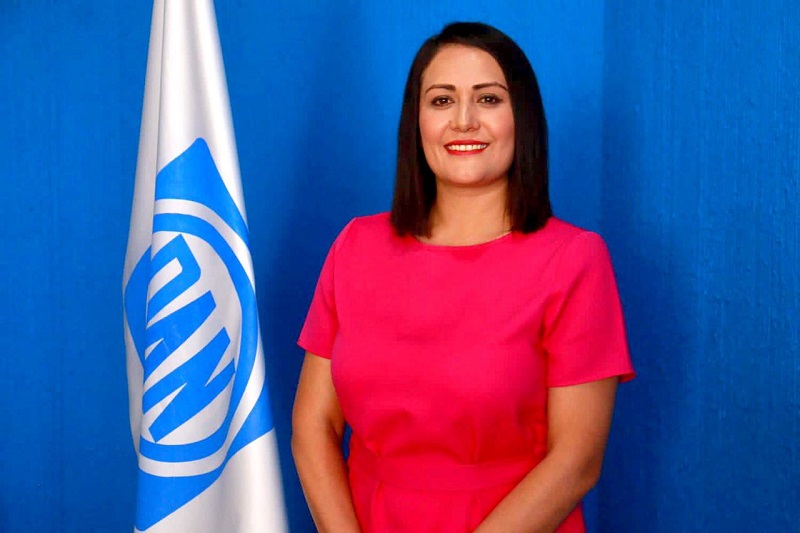 PRESENTA PAN JUICIO ELECTORAL CONTRA CONSEJEROS DEL INE