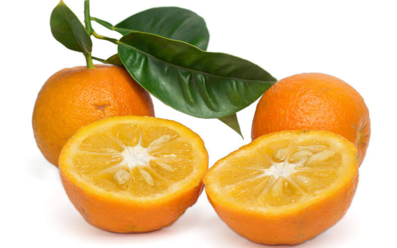 LA NARANJA ES NARANJA POR UN ANTIOXIDANTE