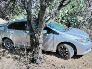 ASEGURAN VEHÍCULOS, CARTUCHOS Y DROGA EN PINOS, ZACATECAS