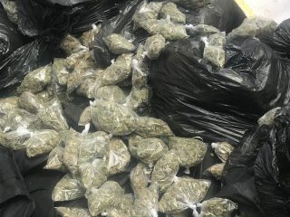 INCINERAN NARCÓTICOS EN ZACATECAS