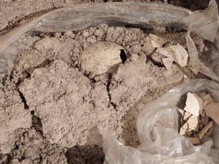 ENCUENTRAN FOSIL DE HUEVO DE FLAMENCO EN AEROPUERTO INTERNACIONAL