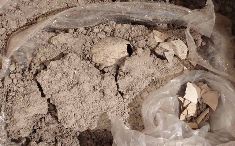 ENCUENTRAN FOSIL DE HUEVO DE FLAMENCO EN AEROPUERTO INTERNACIONAL