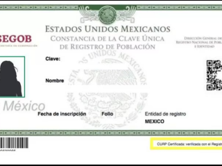 APRUEBAN QUE CURP TENGA FOTOGRAFÍA