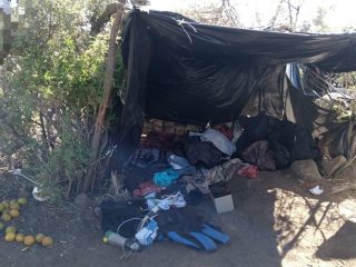 DESMANTELAN CAMPAMENTOS DELICTIVOS EN TEPETONGO