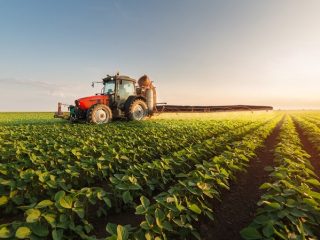 INVIERTEN MÁS DE 500 MDP EN SECTOR AGROPECUARIO DE ZACATECAS