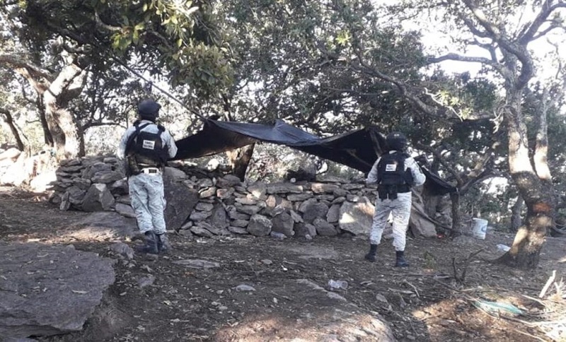 DESMANTELAN CAMPAMENTO DELICUENCIAL EN MUNICIPIOS DE JALISCO Y ZACATECAS