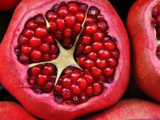 UN FRUTO DE AMOR Y FERTILIDAD