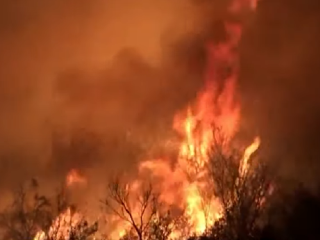 REPORTAN 116 INCENDIOS ACTIVOS EN MÉXICO