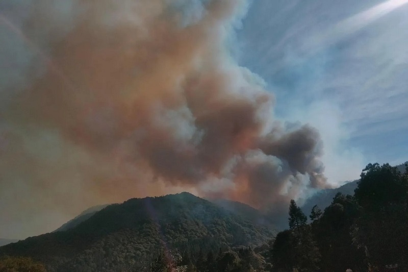 REPORTAN 116 INCENDIOS ACTIVOS EN MÉXICO
