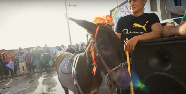 DE BESTIAS DE CARGA A ANIMALES DE CARRERA; LAS CARRERAS DE BURROS EN VILLANUEVA Y JUCHIPILA