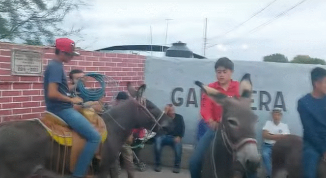 DE BESTIAS DE CARGA A ANIMALES DE CARRERA; LAS CARRERAS DE BURROS EN VILLANUEVA Y JUCHIPILA