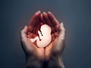 DESPENALIZAN ABORTO EN ZACATECAS