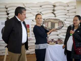 ANUNCIA SHEINBAUM LANZAMIENTO DE “FRIJOL DEL BIENESTAR” EN ZACATECAS
