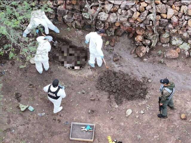 LOCALIZAN PLANTÍO DE MARIGUANA EN EL JAGÜEY, VILLANUEVA