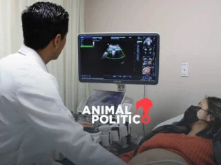 REGISTRÁ MÉXICO MÁS DE 22 MIL MUERTES FETALES